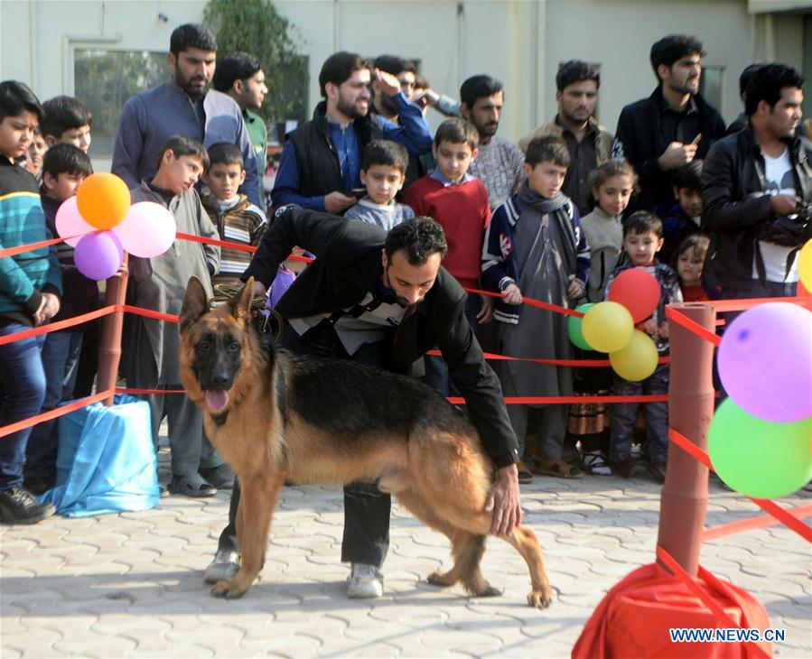 PAKISTAN-PESHAWAR-PET SHOW