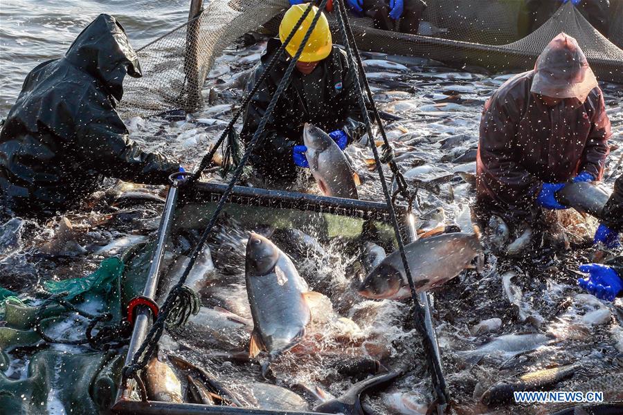 #CHINA-JIANGSU-WINTER FISHING (CN)