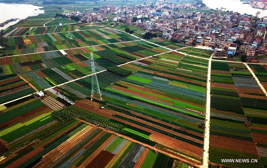 CHINA-GUANGXI-BAISE-SCENERY (CN)