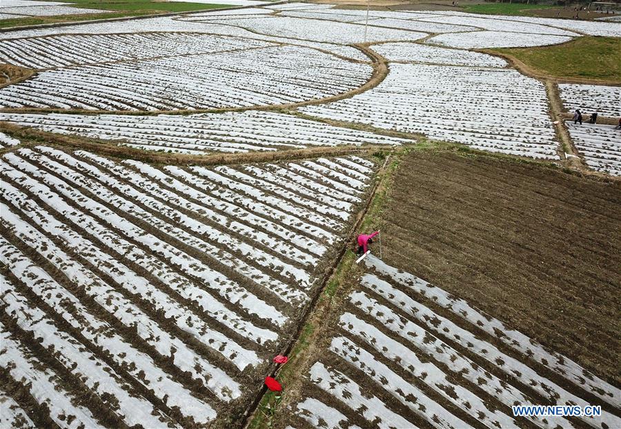 #CHINA-QIANDONGNAN-AGRICUTURE (CN)