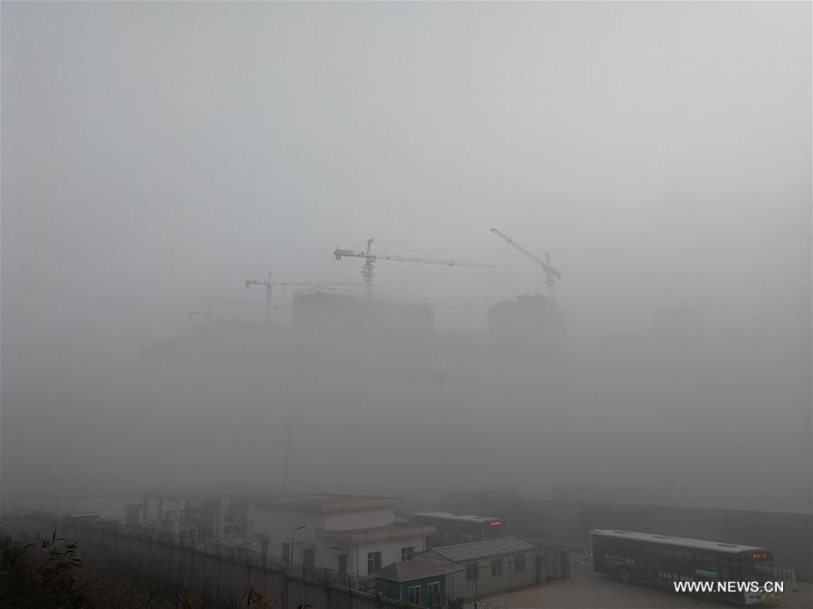 CHINA-SHANDONG-QINGDAO-FOG (CN)