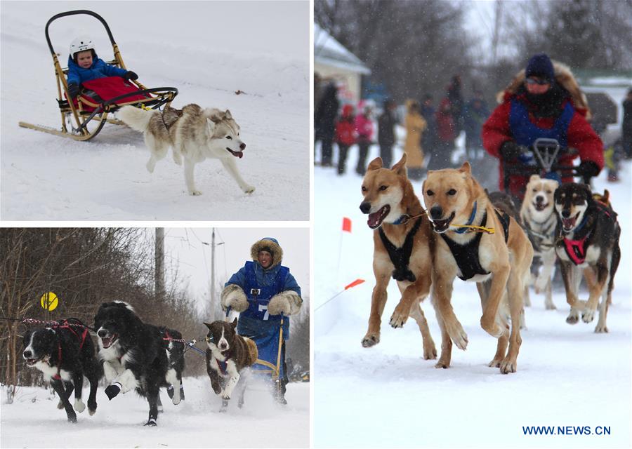 CHINA-YEAR OF DOG-APPROACHING (CN)