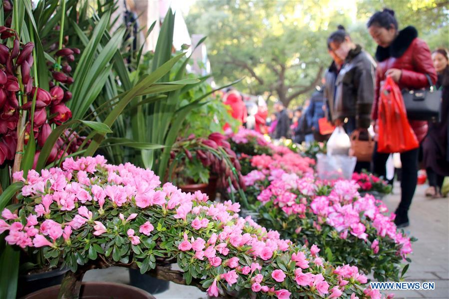 #CHINA-FLOWER-SPRING FESTIVAL(CN)