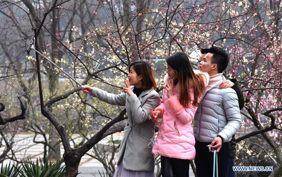 CHINA-WUHAN-WINTERSWEET FLOWERS (CN)