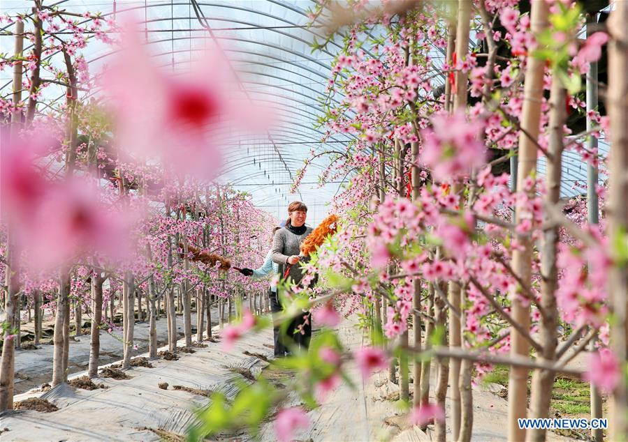 #CHINA-SPRING VIEWS (CN)