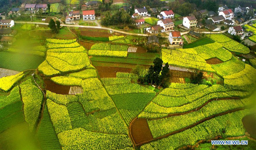 CHINA-SHAANXI-SPRING SCENERY (CN)