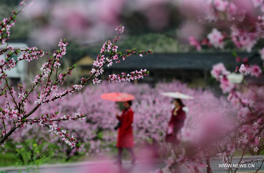 #CHINA-SPRING VIEWS (CN)