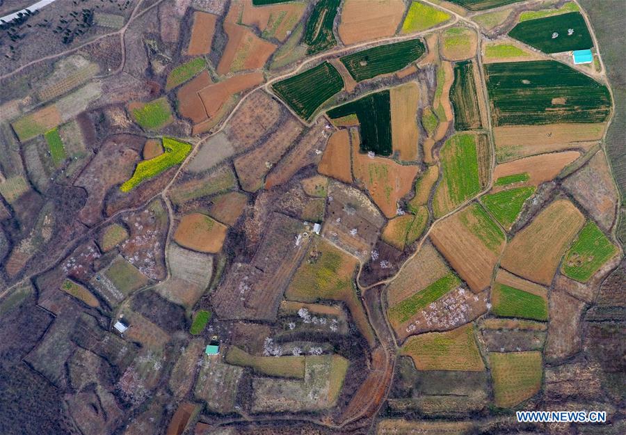 CHINA-HENAN-FARMLAND (CN)