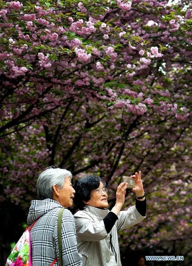 CHINA-XI'AN-SPRING (CN)