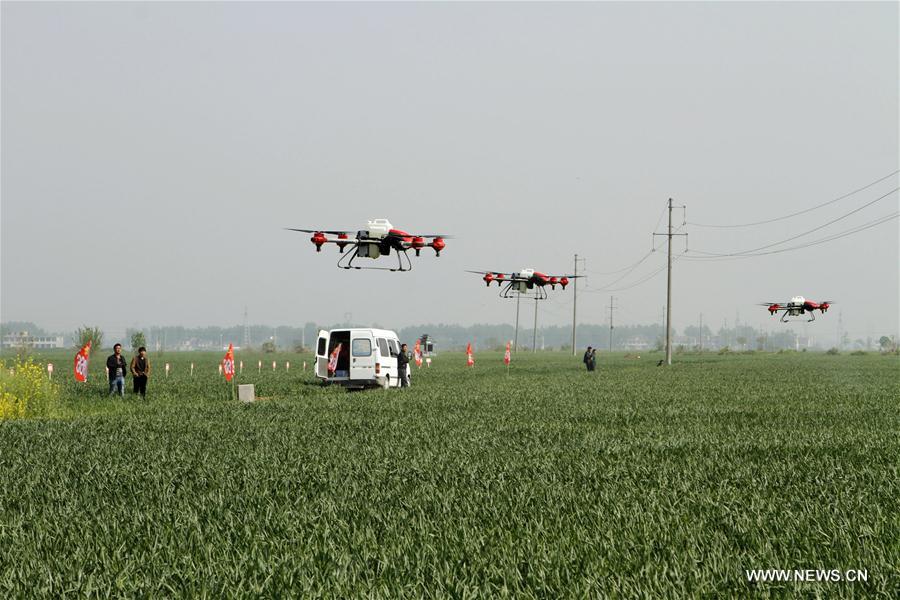 #CHINA-SPRING-FARM WORK (CN)