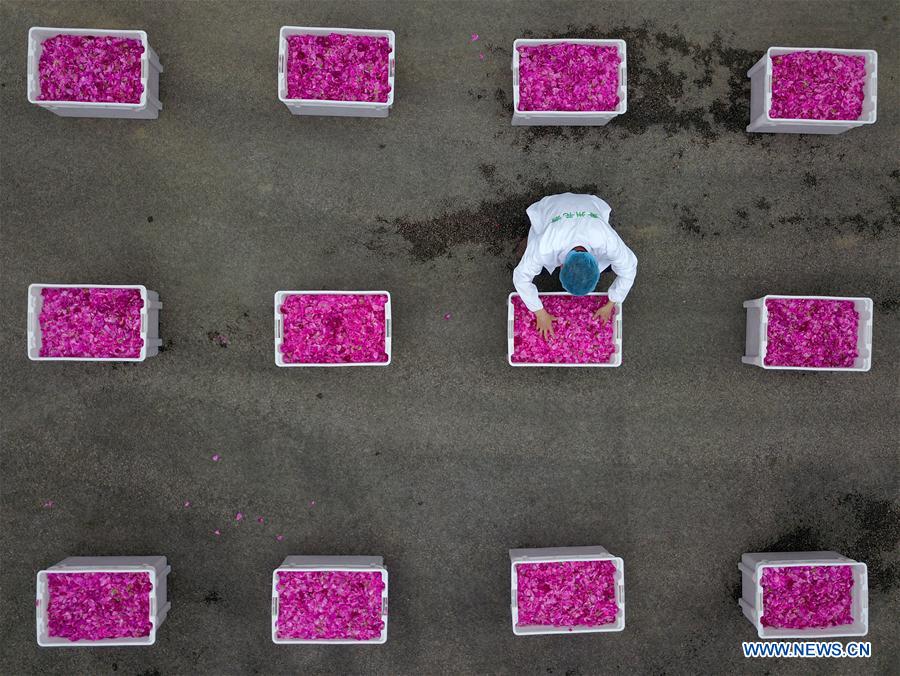 #CHINA-GUIZHOU-FLOWER INDUSTRY (CN)