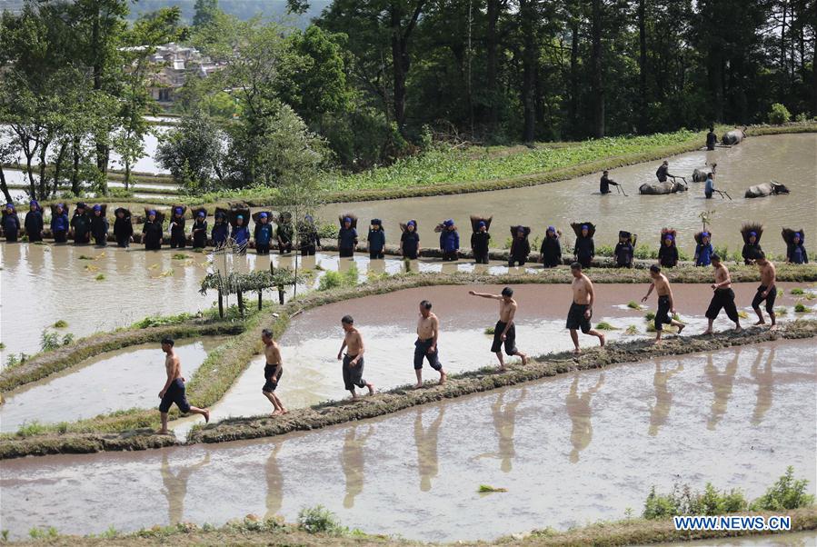 #CHINA-YUNNAN-YUANYANG-FARMING CULTURE (CN) 