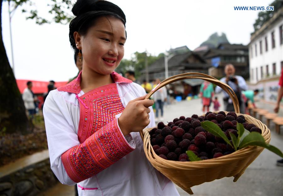 #CHINA-GUIZHOU-WAXBERRY-FESTIVAL (CN)