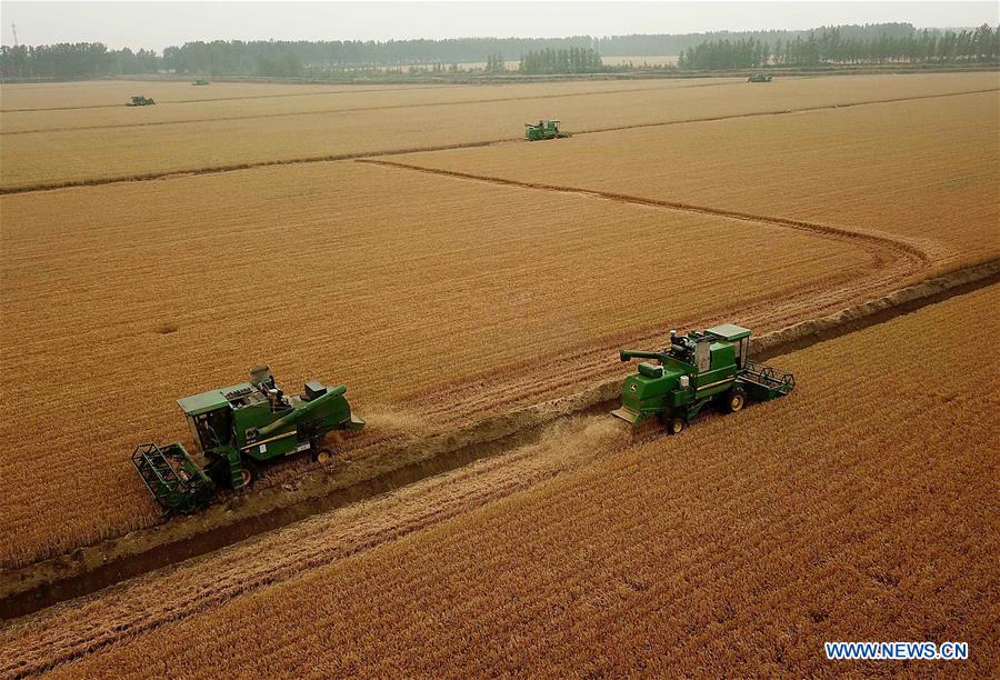 CHINA-HENAN-ZHOUKOU-WHEAT-HARVEST (CN)