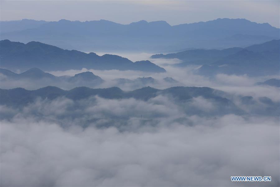 CHINA-SICHUAN-CHANGNING-BAMBOO FORESTS-CLOUDS (CN)