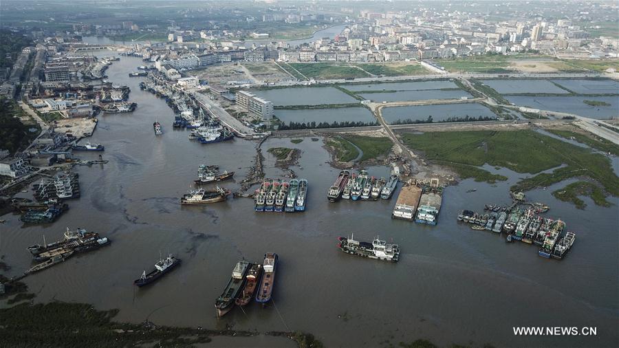 #CHINA-ZHEJIANG-TYPHOON-HARBOUR (CN)