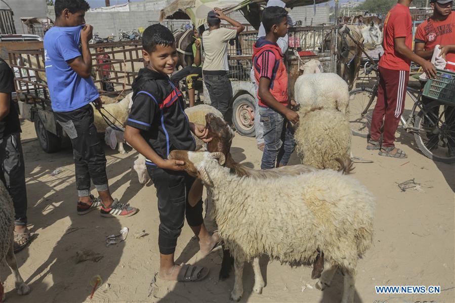 MIDEAST-GAZA-EID AL-ADHA-LIVESTOCK MARKET