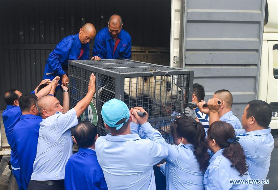 CHINA-CHANGCHUN-GIANT PANDAS-RETURN (CN)