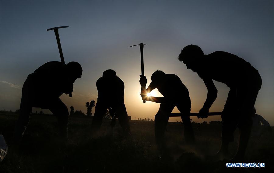 KASHMIR-SRINAGAR-DAILY LIFE