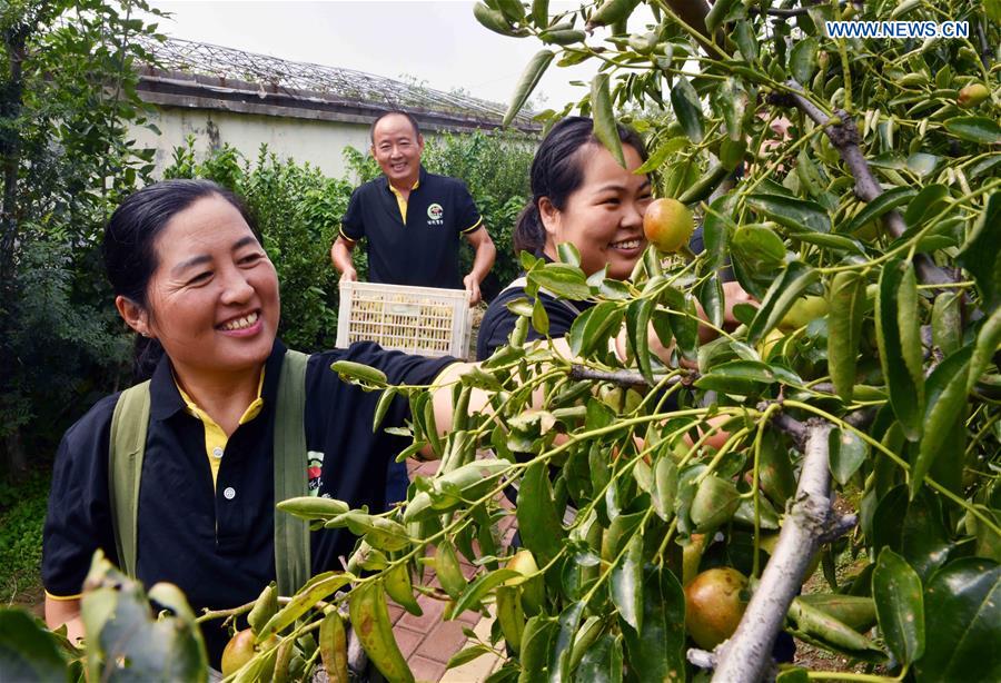 CHINA-AGRICULTURE-HARVEST (CN)