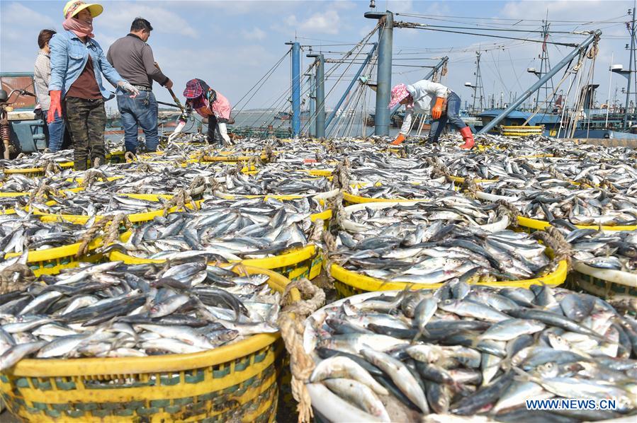 CHINA-FUJIAN-SHISHI-FISHING (CN)