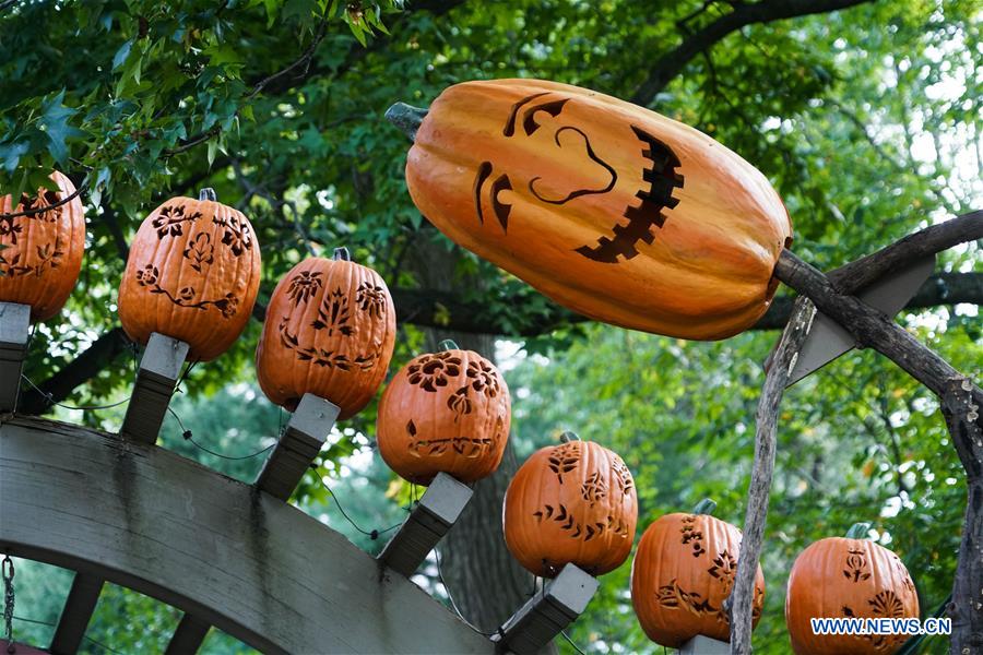 U.S.-NEW YORK-PUMPKIN GARDEN