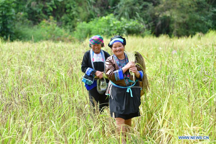 CHINA-GUANGXI-RONGSHUI-POVERTY ALLEVIATION (CN)