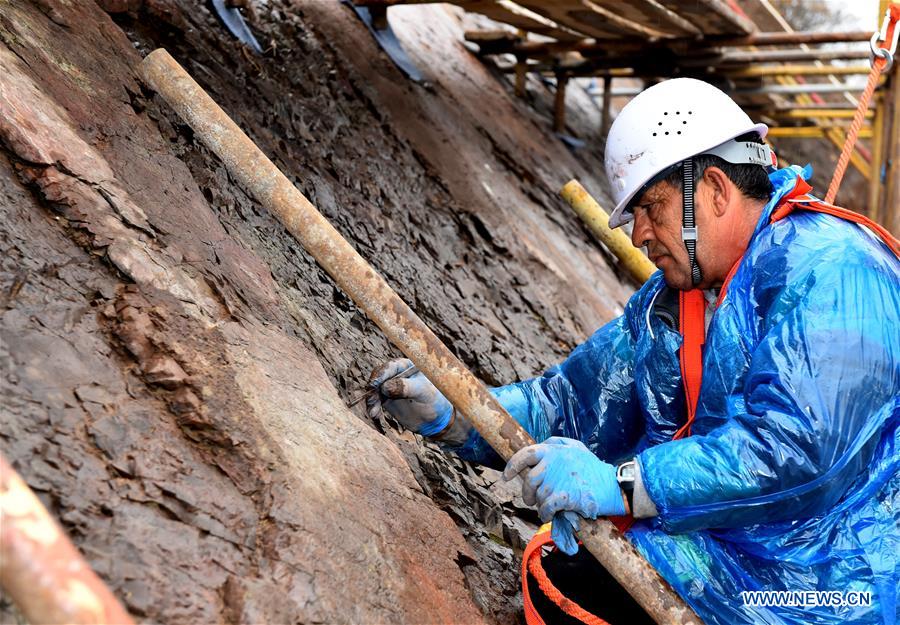 CHINA-BEIJING-YANQING-FOSSIL CONSERVATION (CN)