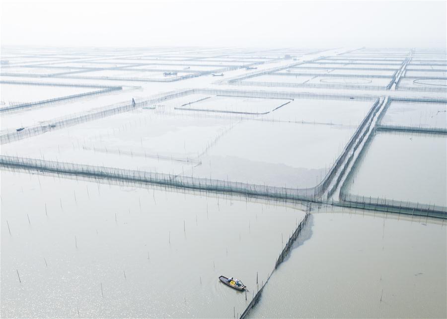 CHINA-ZHEJIANG-CRABS-HARVEST (CN)