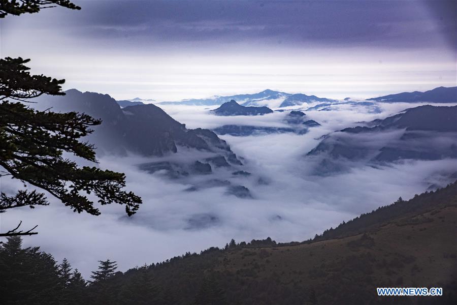 CHINA-HUBEI-SHENNONGJIA-SCENERY (CN)