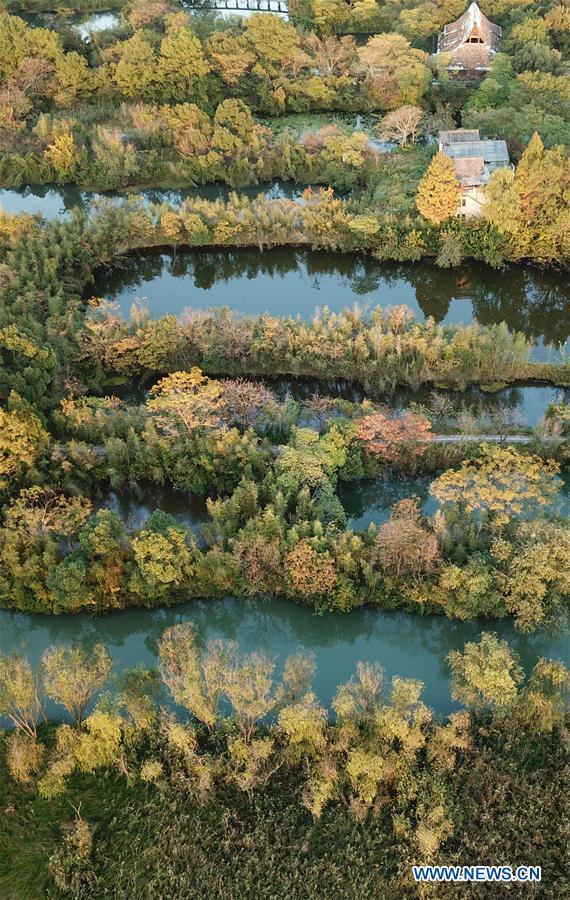 CHINA-HANGZHOU-XIXI WETLAND-AUTUMN SCENERY (CN)