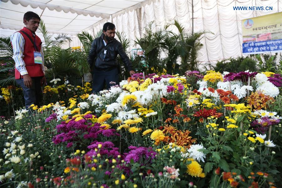 NEPAL-LALITPUR-CHRYSANTHEMUM FLOWER EXPO