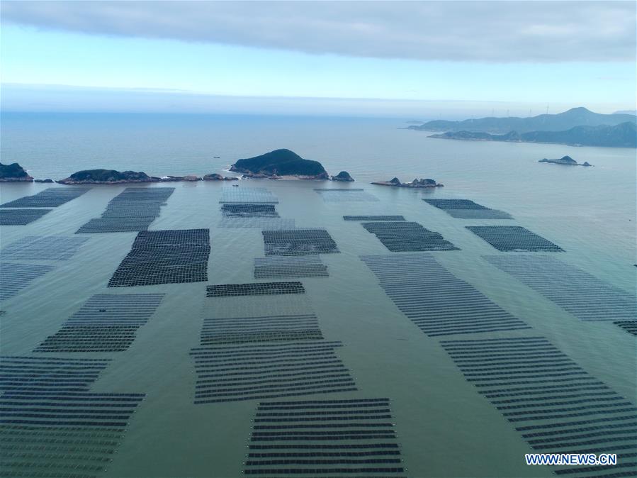 CHINA-FUJIAN-XIAPU-SEAWEED-HARVEST(CN)