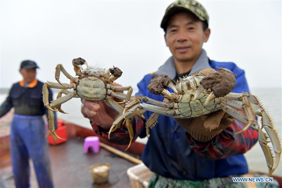 CHINA-JIANGXI-NANCHANG-FISHERY-CRAB (CN)