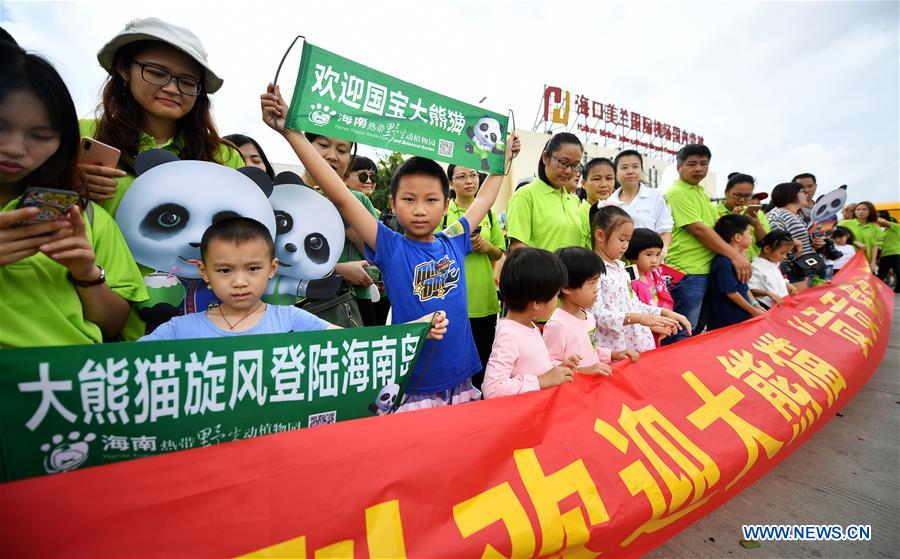 CHINA-HAINAN-HAIKOU-GIANT PANDA-SETTLEMENT (CN)