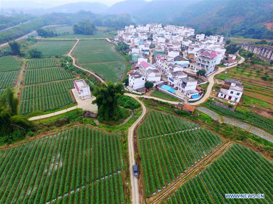 CHINA-GUANGXI-POVERTY ALLEVIATION-STONY DESERTIFICATION CONTROL (CN)