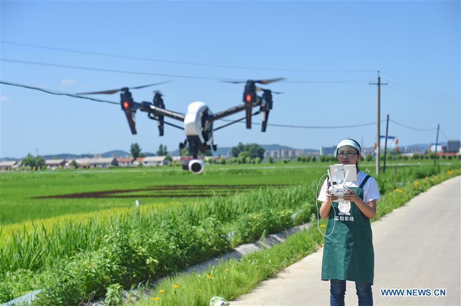 Xinhua Headlines: Big data reshaping harvest for Chinese farmers