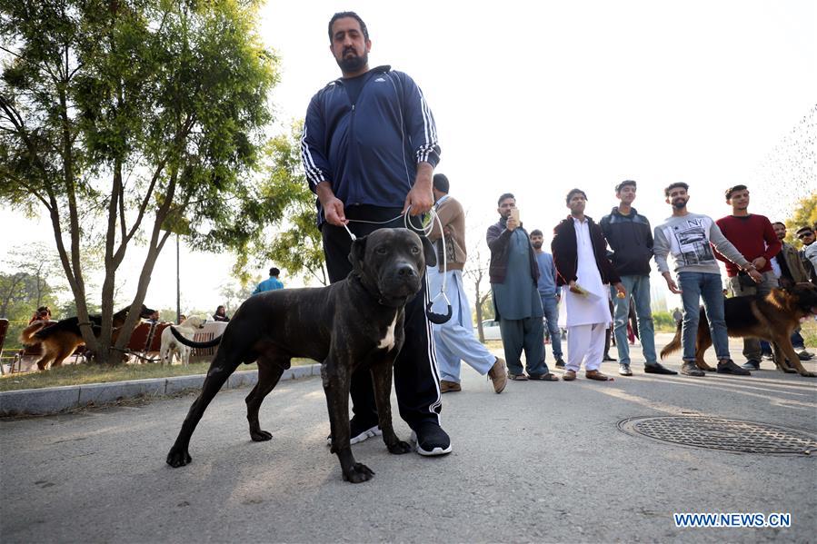 PAKISTAN-ISLAMABAD-DOG SHOW