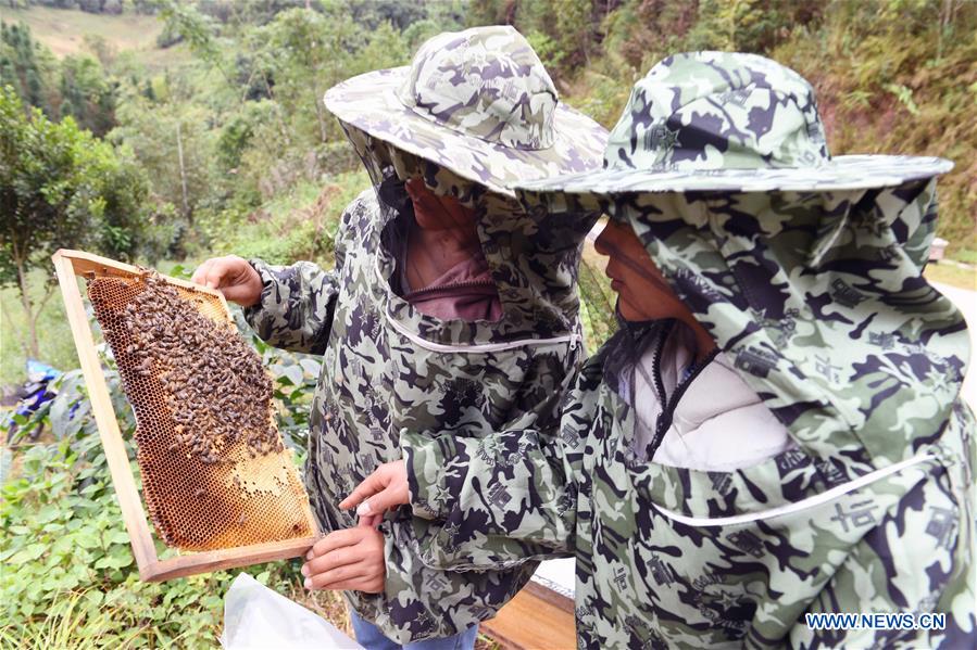 CHINA-YUNNAN-XIMENG-POVERTY ALLEVIATION (CN)