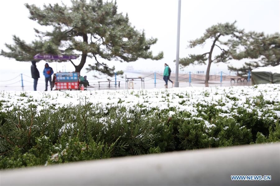 #CHINA-SHANDONG-SNOW (CN)