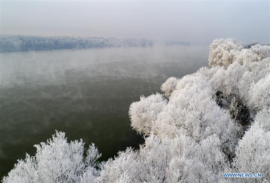 #CHINA-JILIN-FROSTY SCENERY(CN)