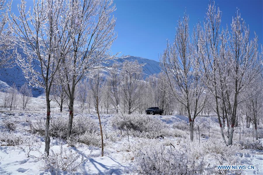 CHINA-TIBET-WINTER-RIME (CN)