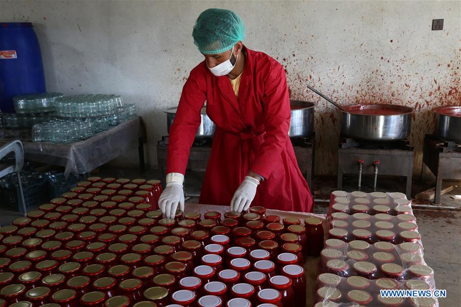 AFGHANISTAN-GHAZNI-TOMATO PASTE PLANT