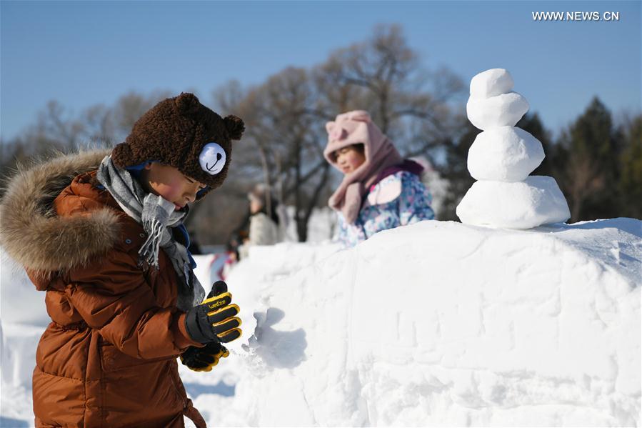 CHINA-HARBIN-FAMILY SNOW SCULPTURE COMPETITION (CN)