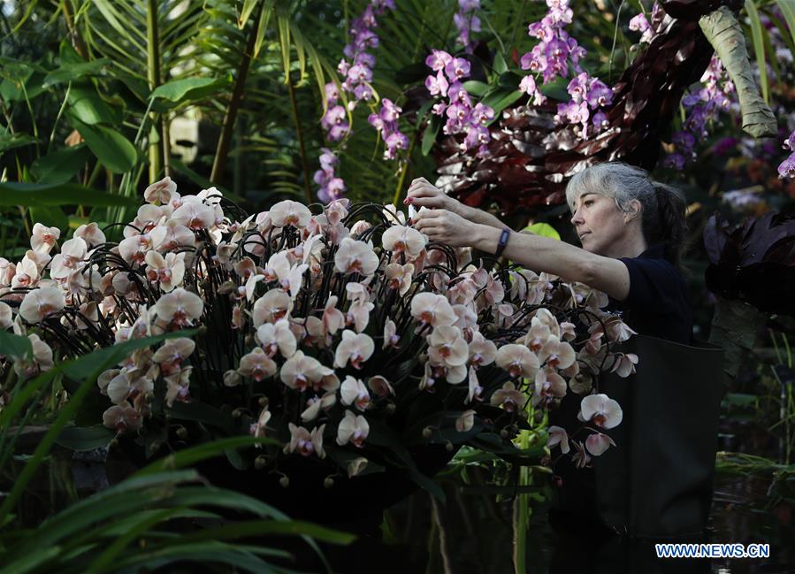 BRITAIN-LONDON-KEW ORCHID FESTIVAL-PRESS PREVIEW