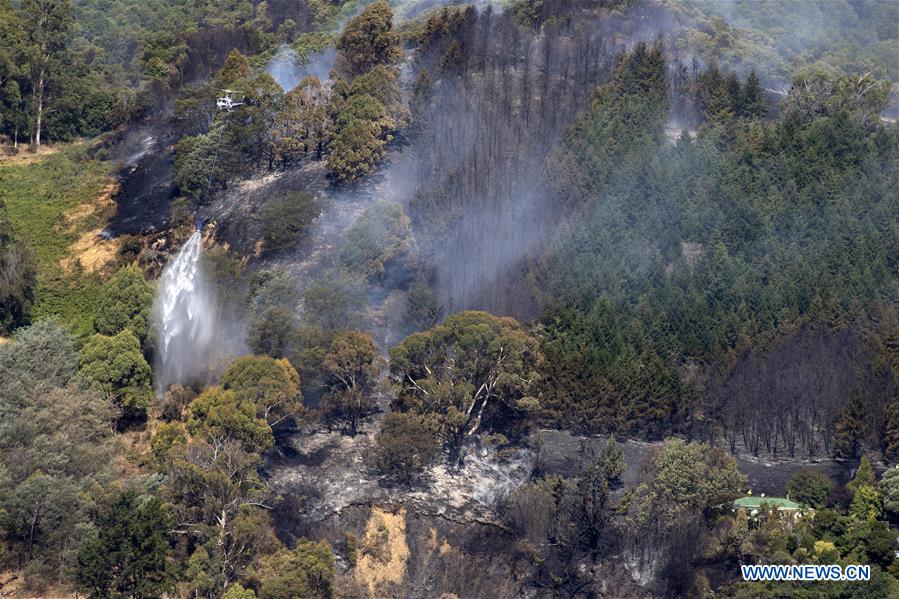 NEW ZEALAND-SOUTH ISLAND-WILDFIRE