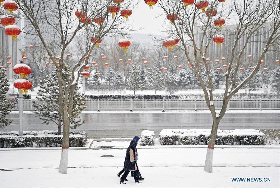 CHINA-NINGXIA-GUYUAN-SNOWFALL (CN)