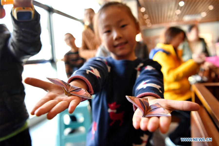 CHINA-SHANXI-LIBRARY-ORIGAMI WORKS (CN)