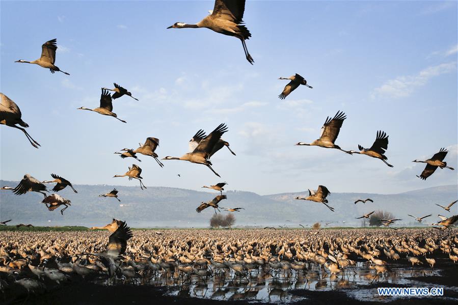 XINHUA PHOTOS OF THE DAY