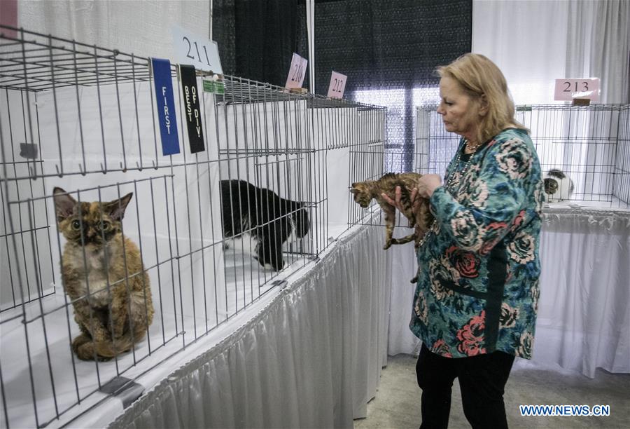 CANADA-VANCOUVER-CAT SHOW